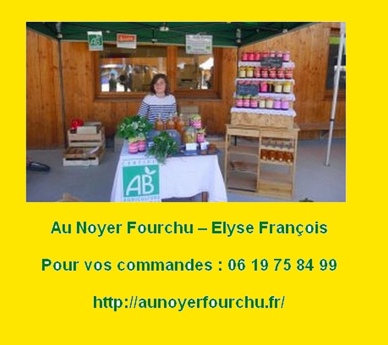elyse françois3